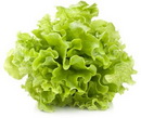 Салат, зеленый лист