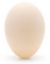 Яйцо утиное